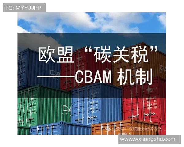 欧盟大力推行CBAM碳边境税，引发全球经济震动